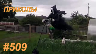 Приколы август 2019 №509